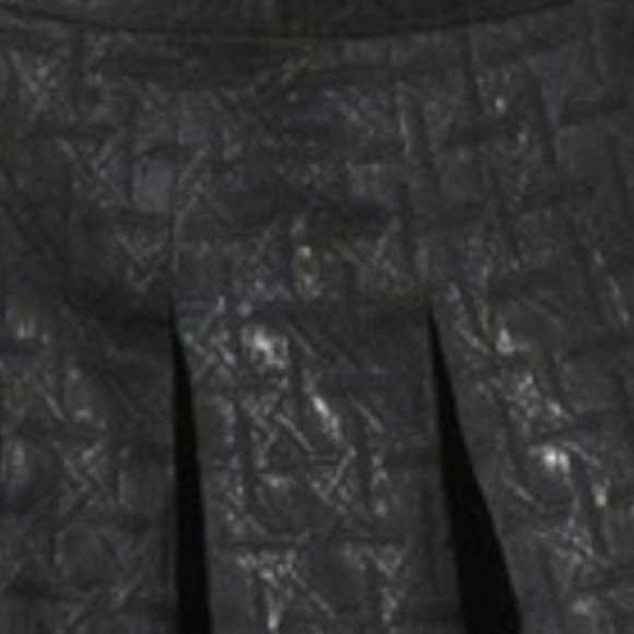NWT- Kirna Zabête -Metallic Jacquard Fit&Flare Pleated Skirt - Picture 5 of 5